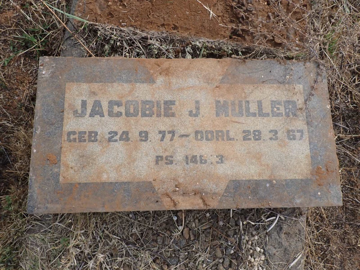 MULLER Jacobie J. 1877-1967