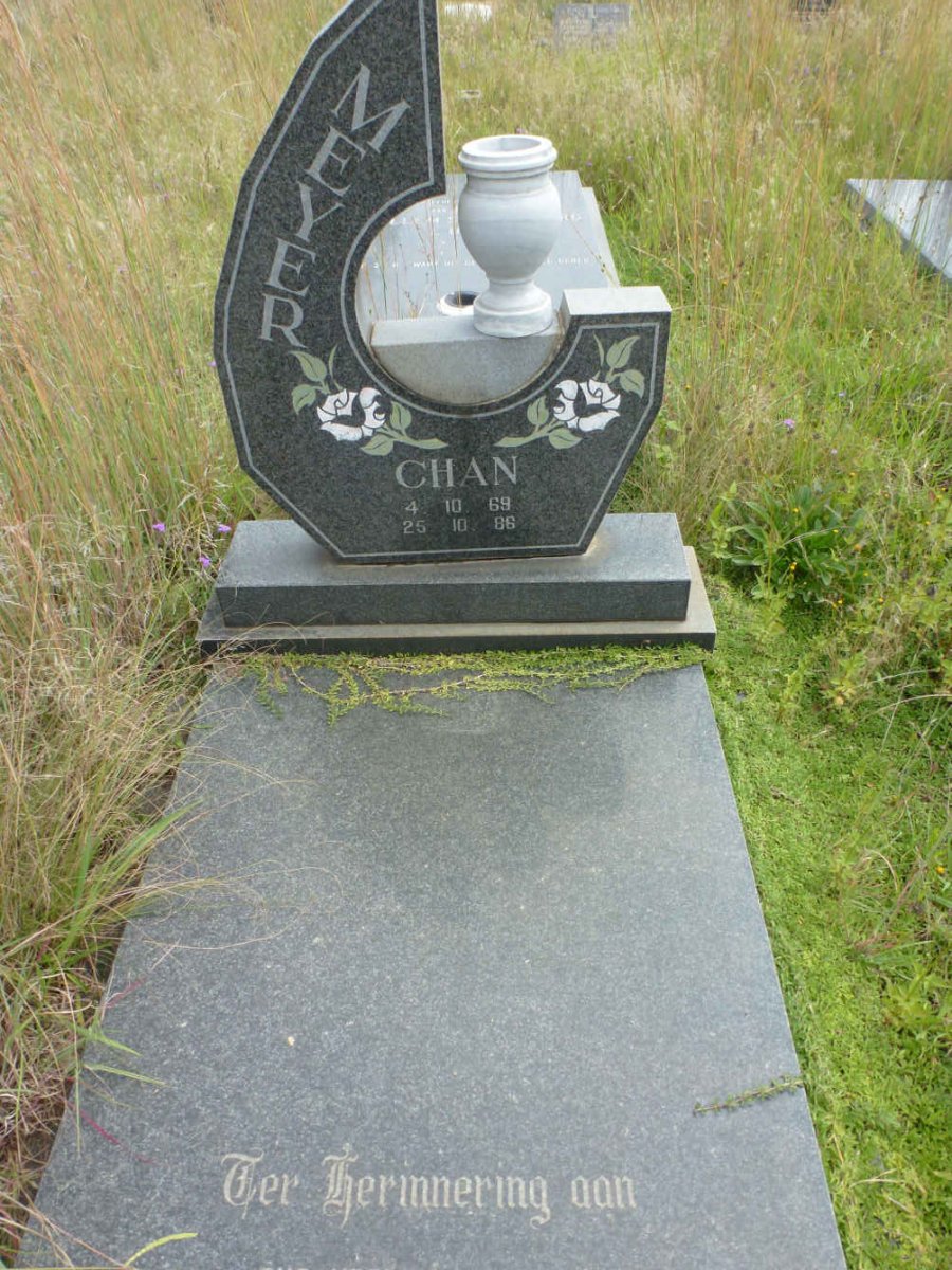 MEYER Chan 1969-1986