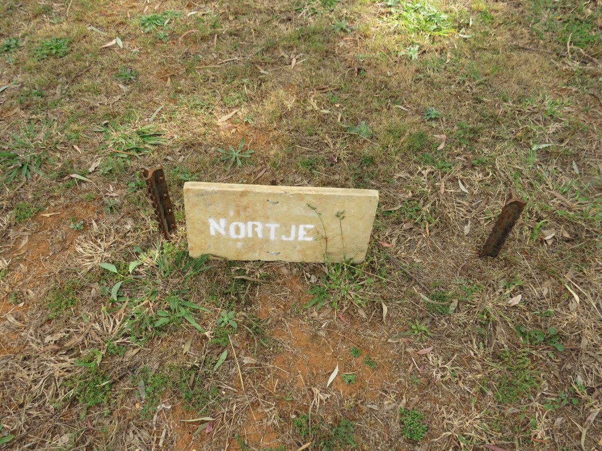NORTJE