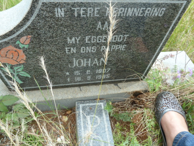 POTGIETER Johan 1907-1995 _2