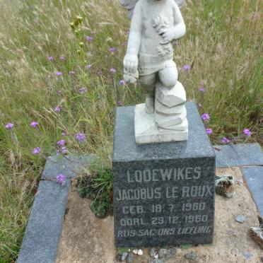 ROUX Lodewikes Jacobus, le 1960-1960