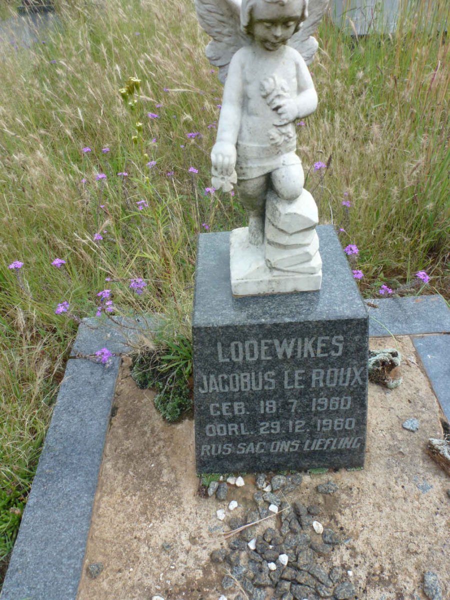 ROUX Lodewikes Jacobus, le 1960-1960