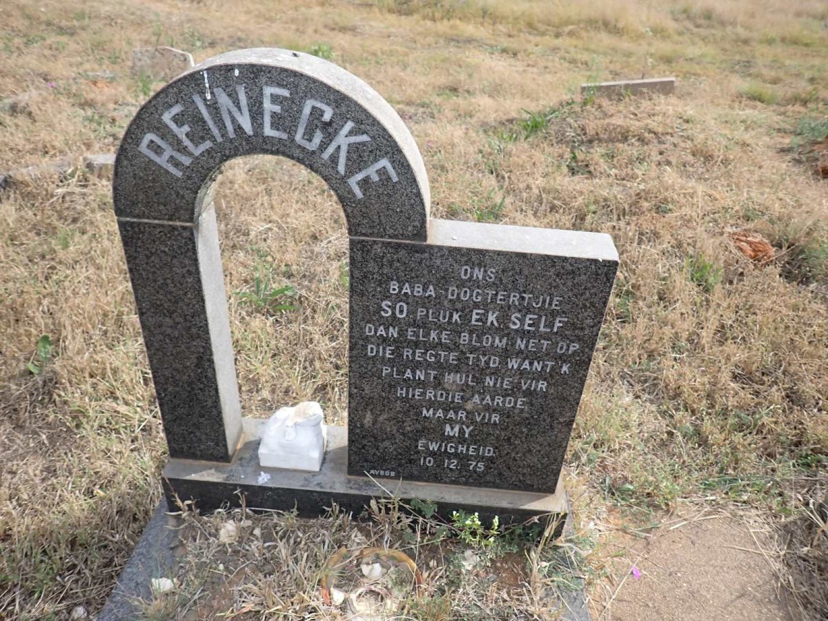 REINECKE -1975