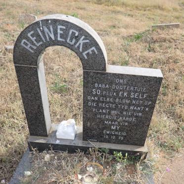 REINECKE -1975