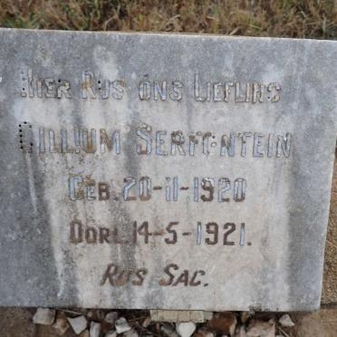 SERFONTEIN Gillium 1920-1921