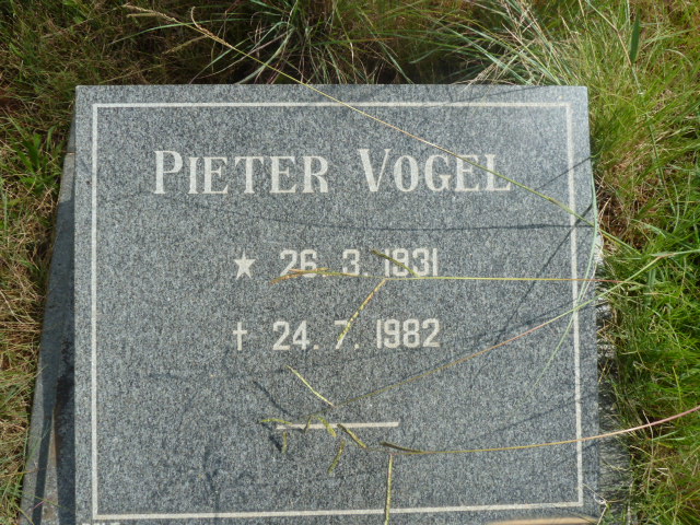 VOGEL Pieter 1931-1982