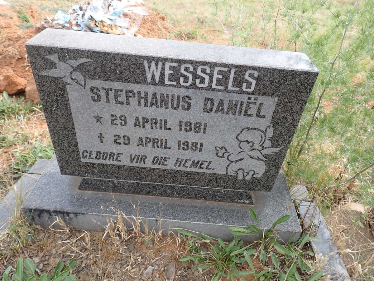 WESSELS Stephanus Daniel 1981-1981
