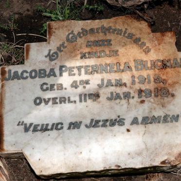 BLIGNAUT Jacoba Peternela 1915-1918
