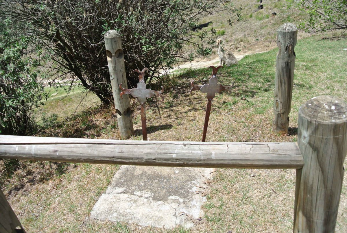 2. Overview / Oorsig