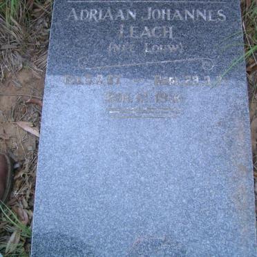 LEACH Adriaan Johannes nee LOUW 1897-1971