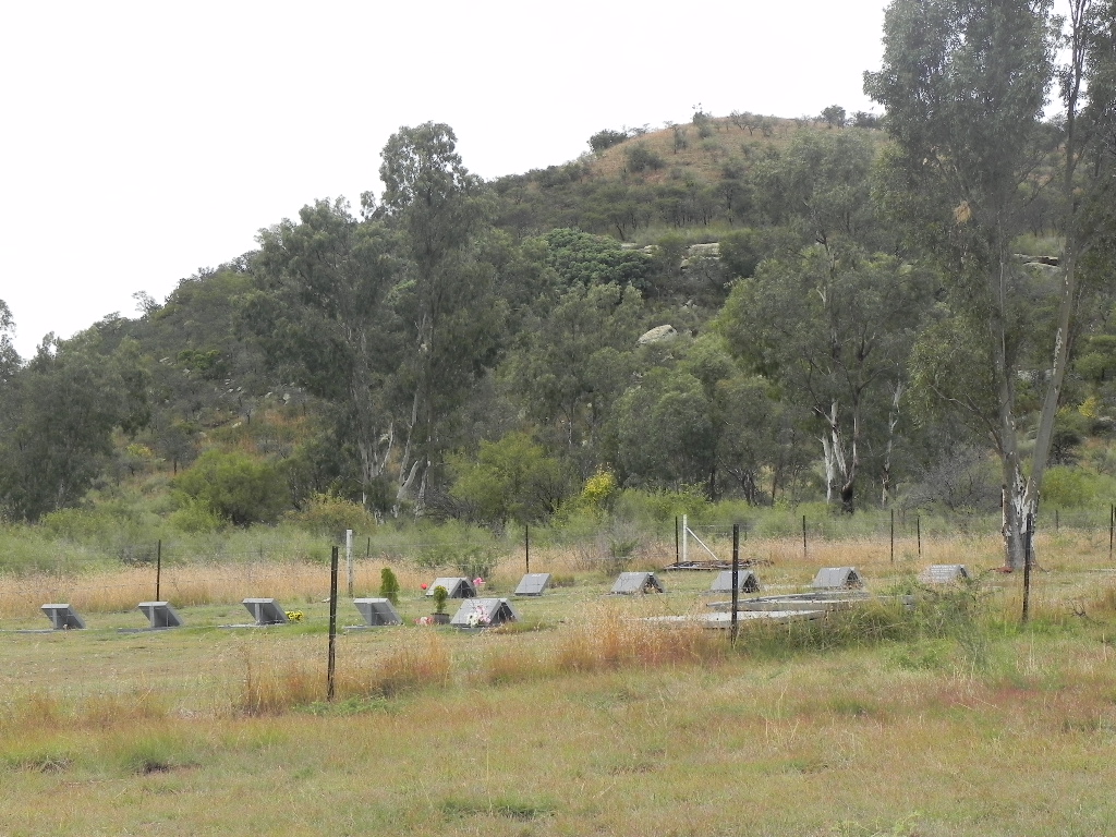 3. Overview