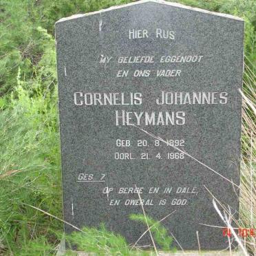 Free State, HEILBRON district, Rietfontein 346, farm cemetery