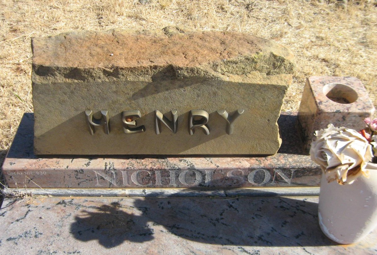 NICHOLSON Henry Arthur 1954-1999