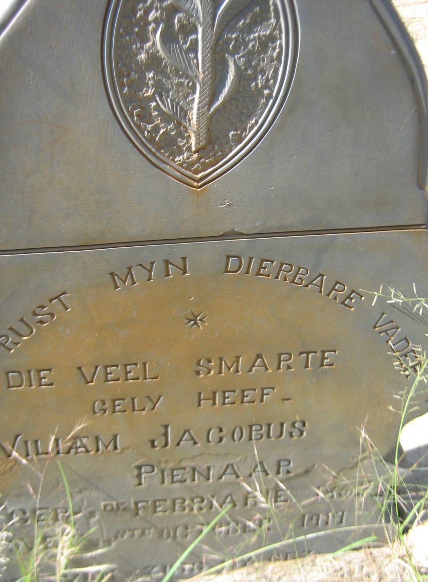 PIENAAR Willem Jacobus 18??-1919