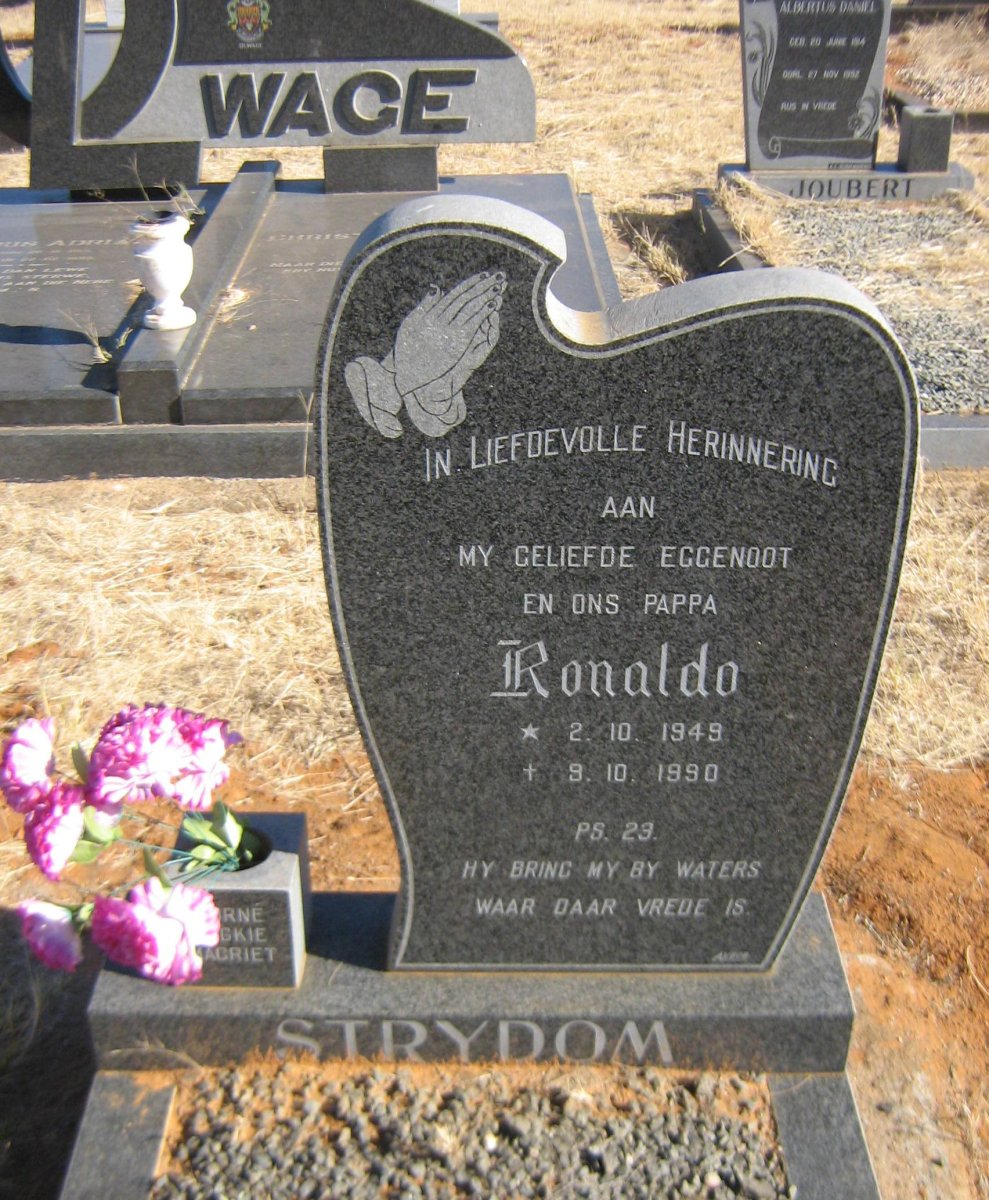 STRYDOM Ronaldo 1949-1990