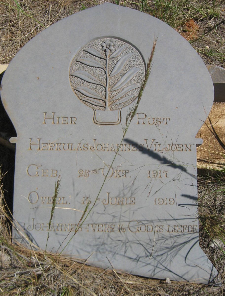 VILJOEN Herkulas Johannes 1917-1919