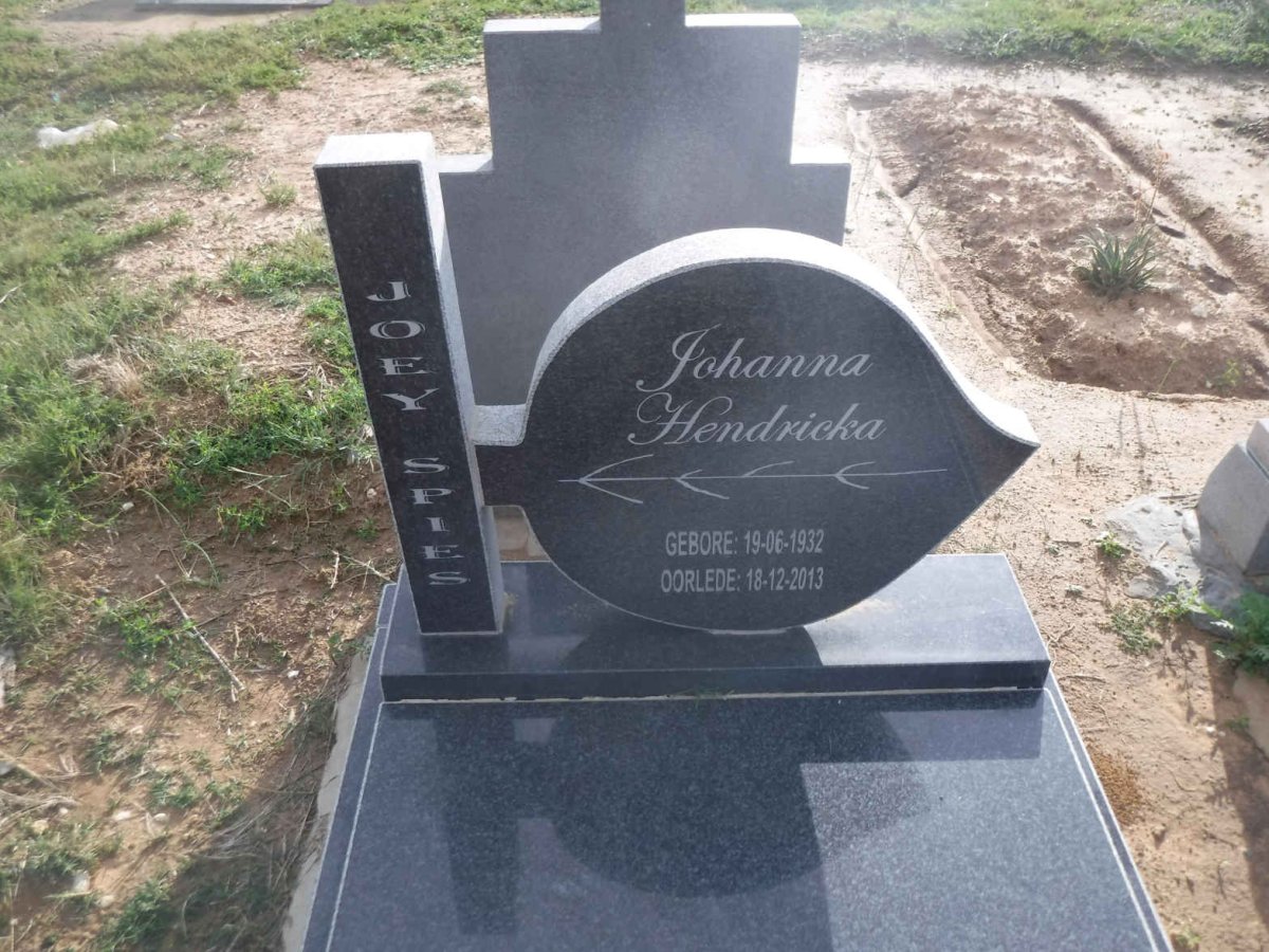 SPIES Johanna Hendricka 1932-2013