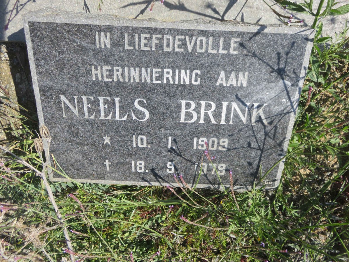 BRINK Neels 1909-1979