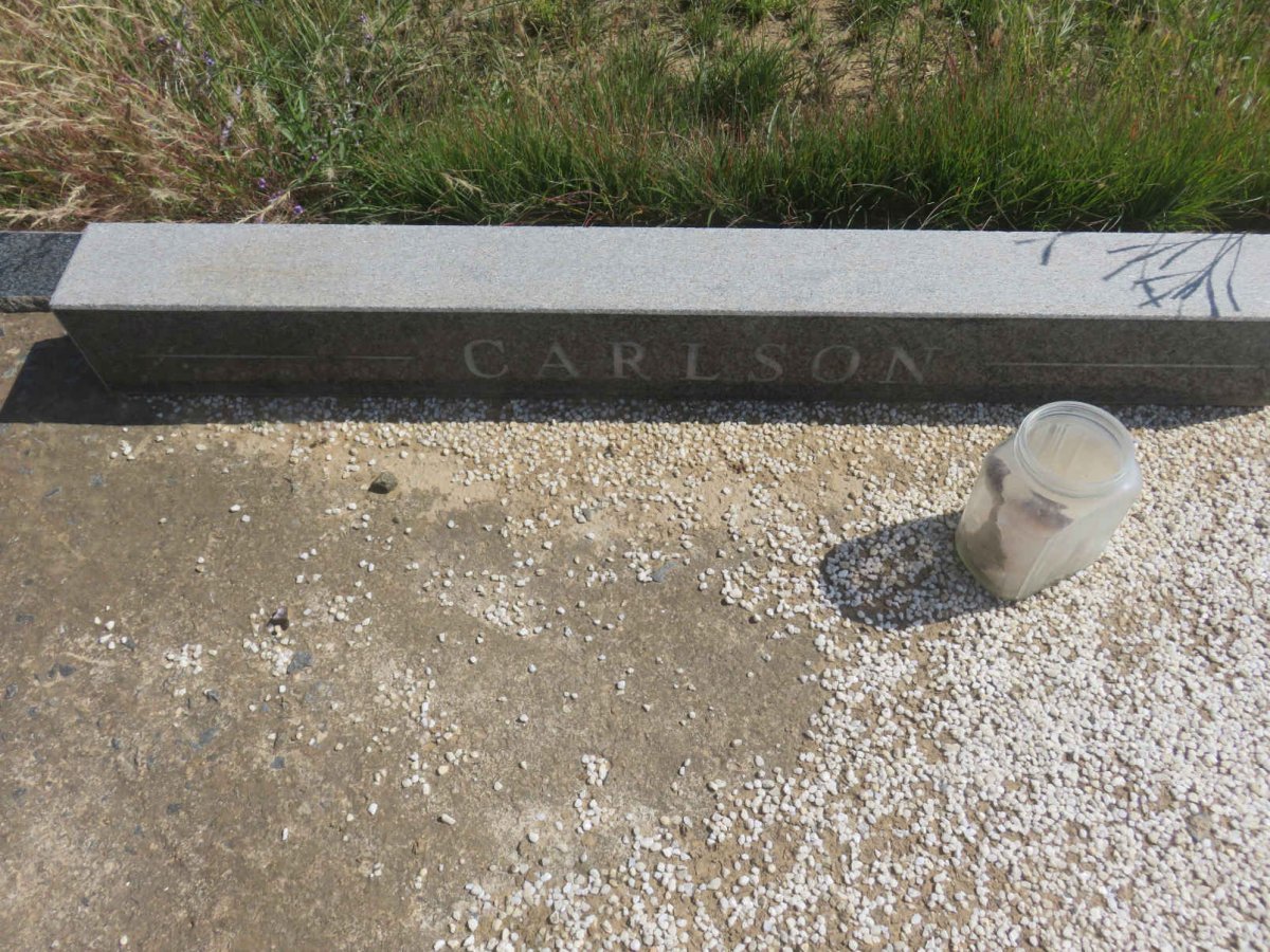 CARLSON
