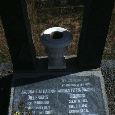 DIEDERICHS Adriaan Petrus Johannes 1873-1943 &amp; Jacoba Catharina PRINSLOO 1878-1961