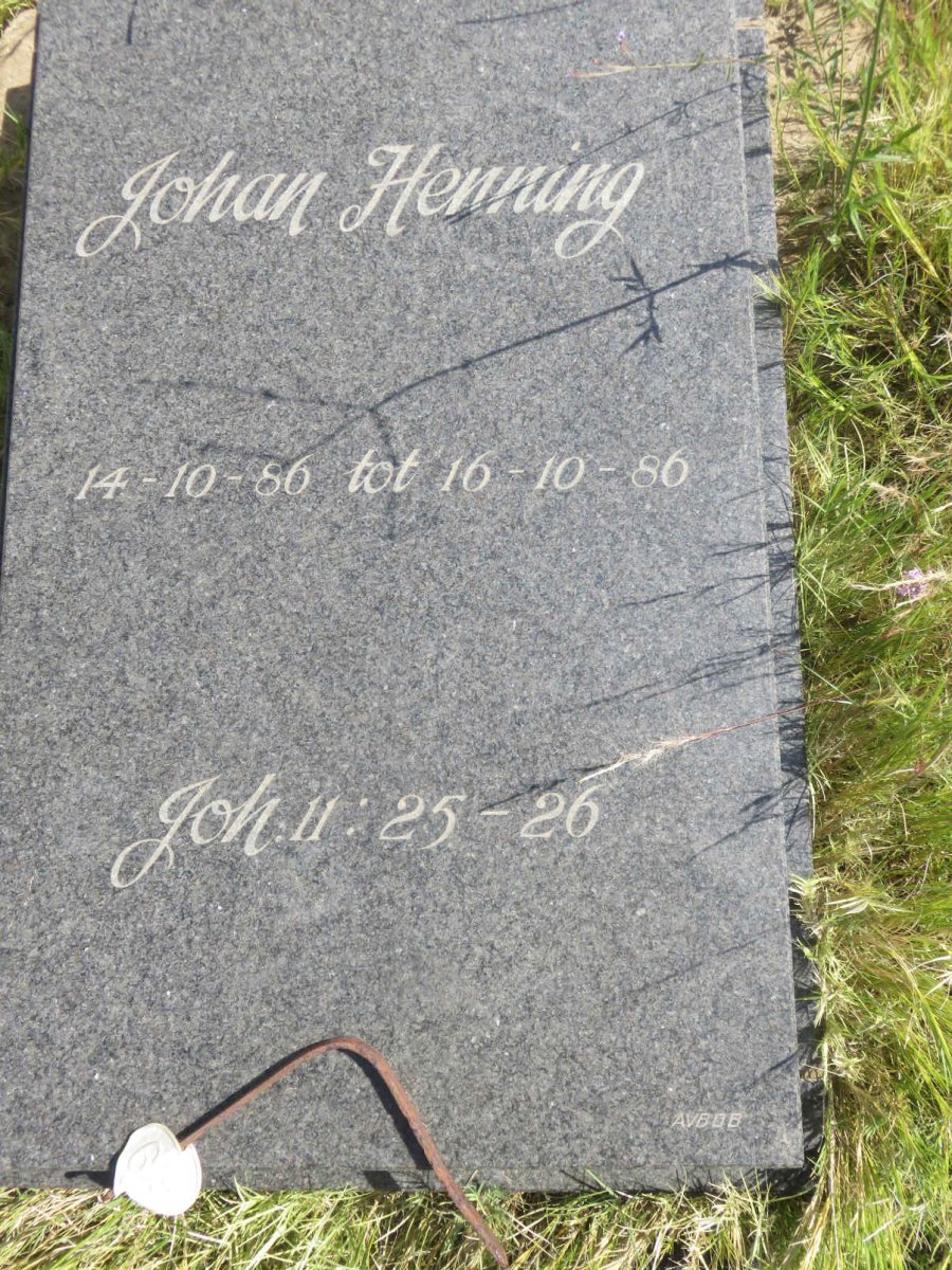 HENNING Johan 1986-1986