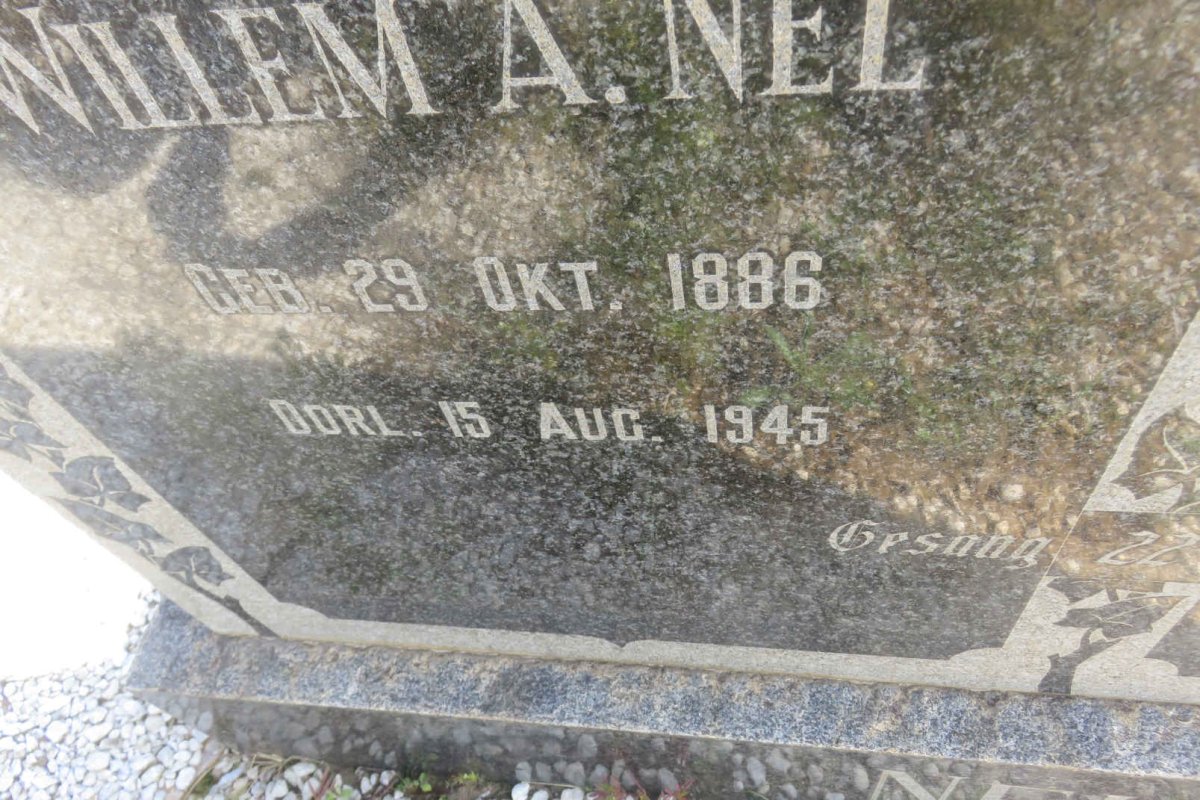 NEL Willem A. 1886-1945 &amp; Martina J. RENS 1890-1968 _1