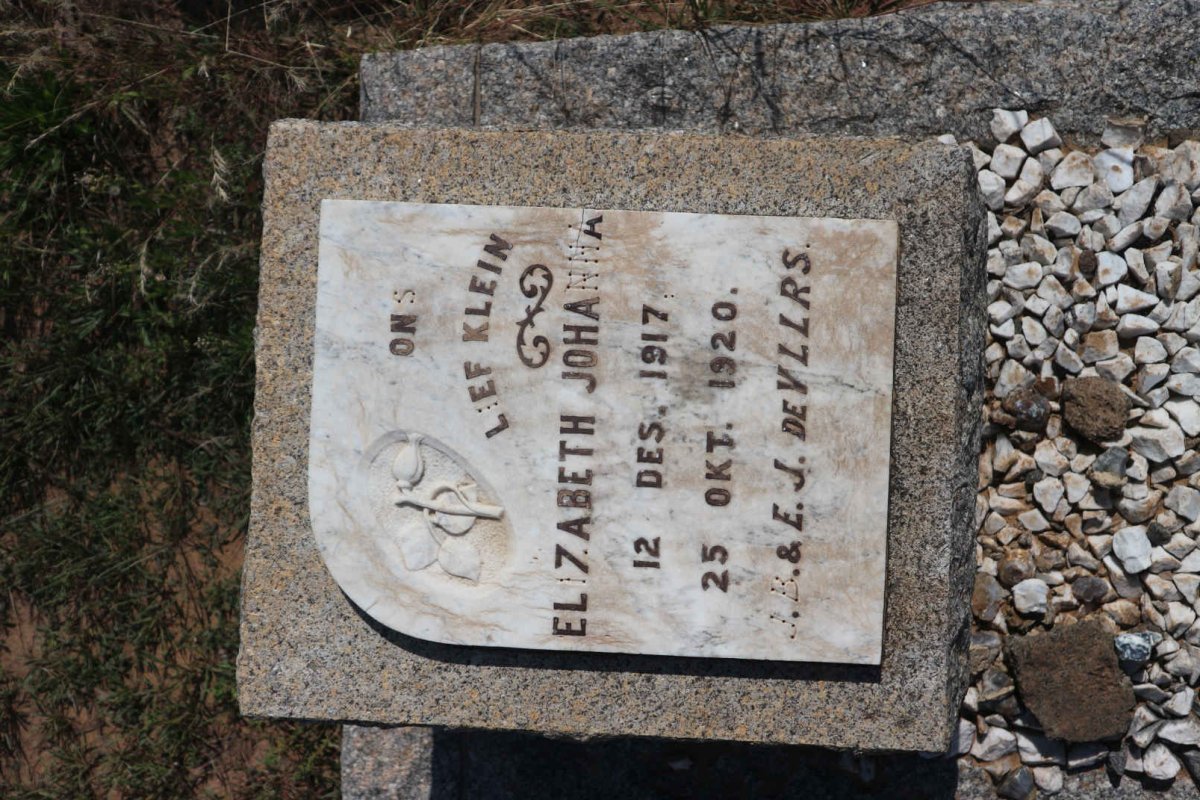 VLLRS Elizabeth Johanna, de 1917-1920