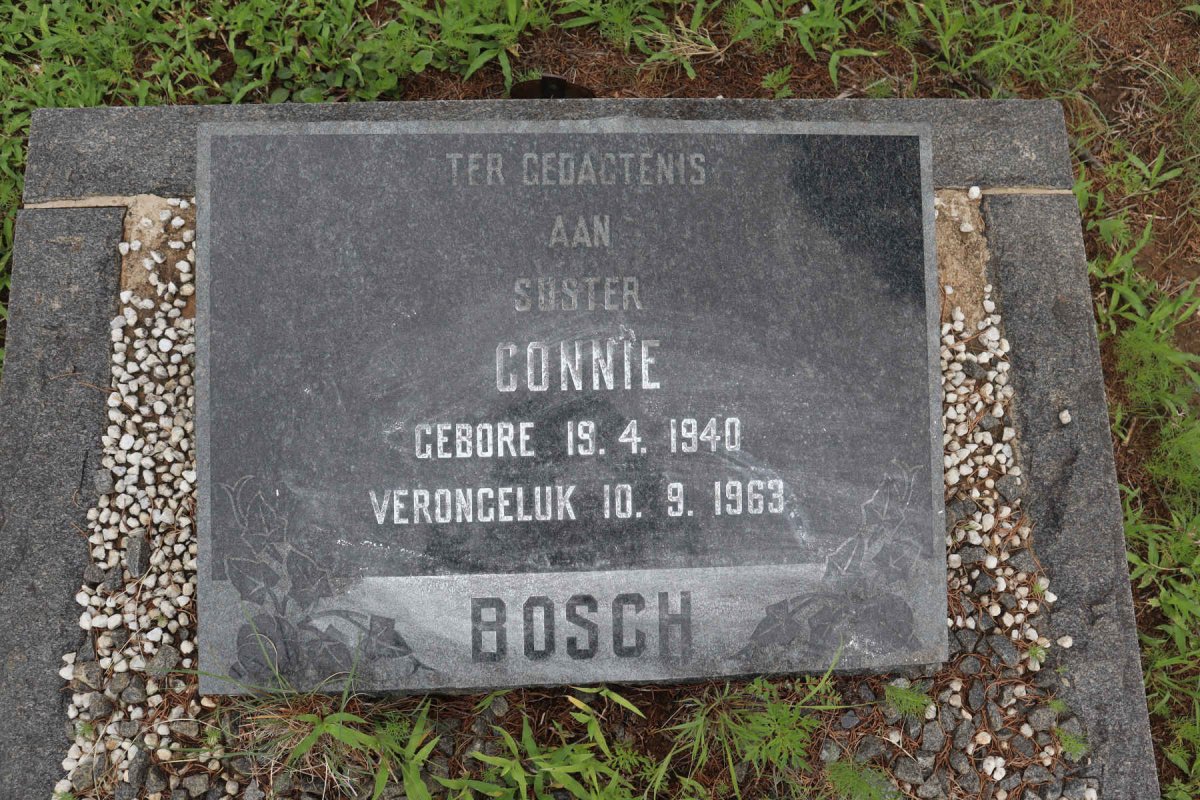 BOSCH Connie 1940-1963