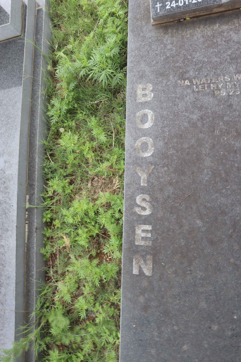 BOOYSEN Johannes Frederick 1946-2009 :: BOOYSEN Johannes Frederick 1974-2008