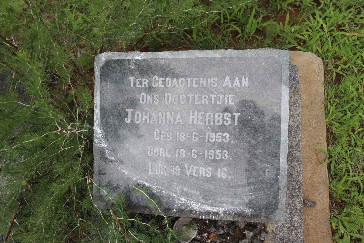 HERBST Johanna 1953-1953