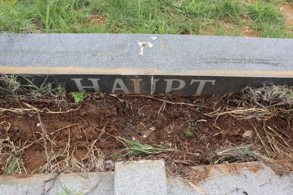 HAUPT Jack 1909-1997 &amp; Hanna 1919-