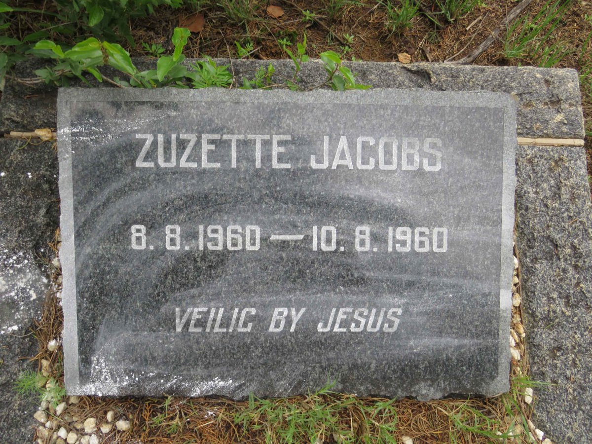 JACOBS Zuzette 1960-1960