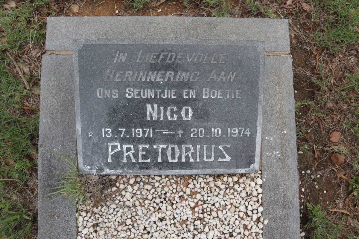 PRETORIUS Nico 1971-1974