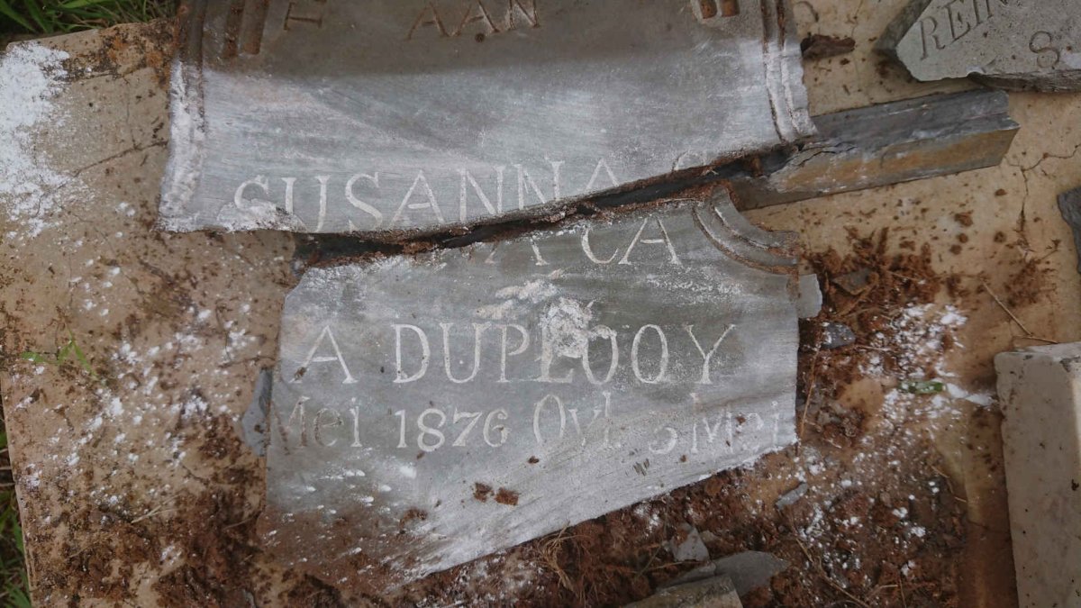 PLOOY Susanna Carolina, du 1876-1914 