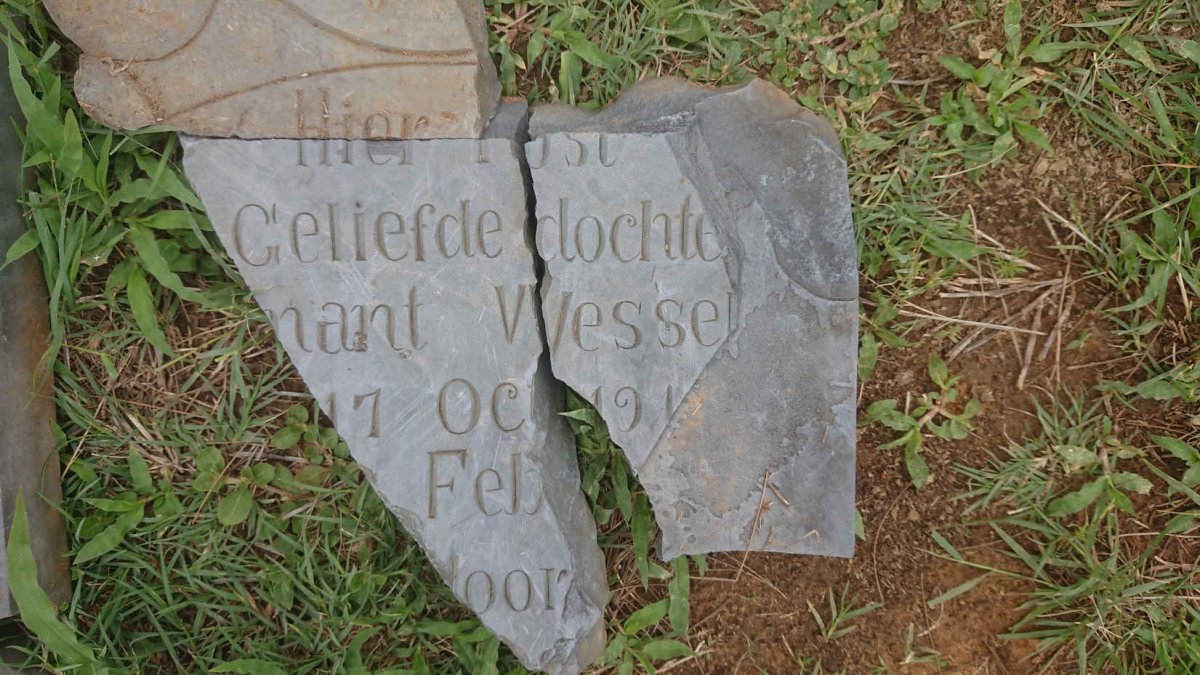 WESSELS ?nant 191?-