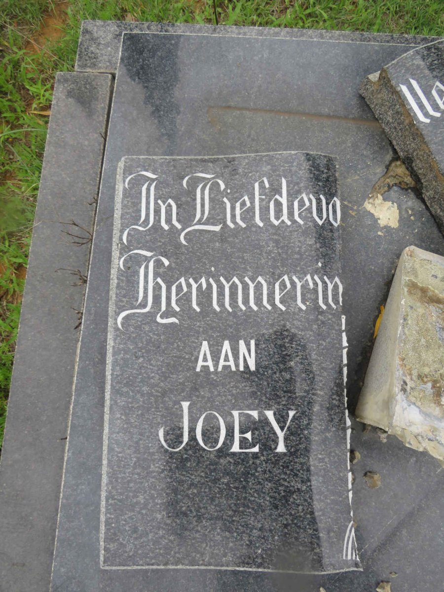 Zyl Joey, van 1940-2010