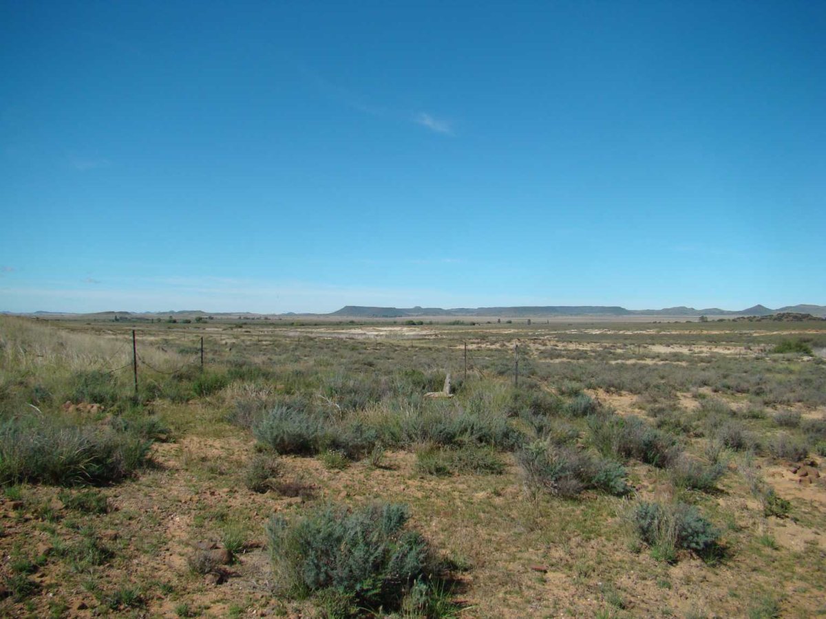 1. Overview