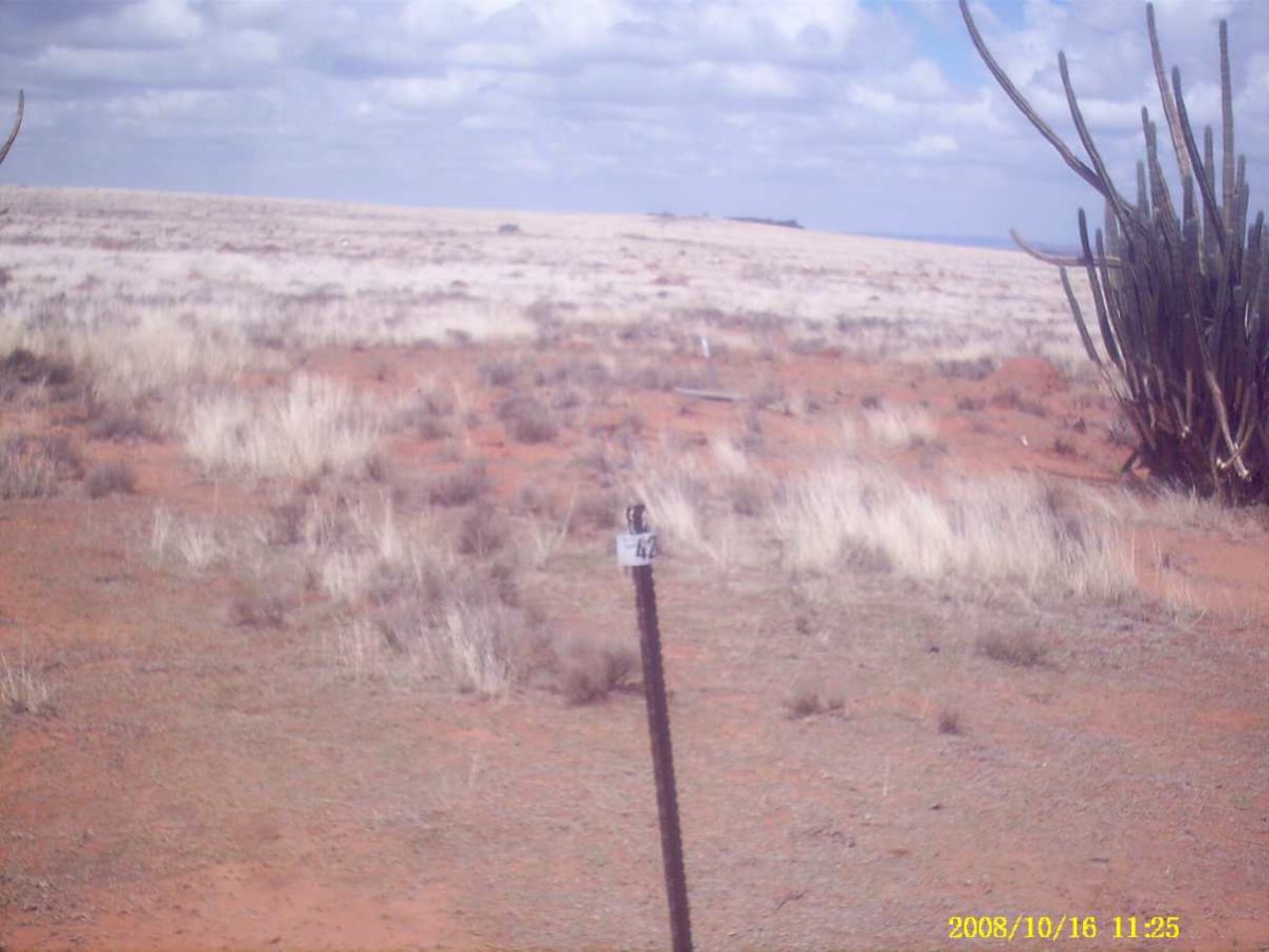 2. Overview on the farm cemetery in the Jagersfontein district