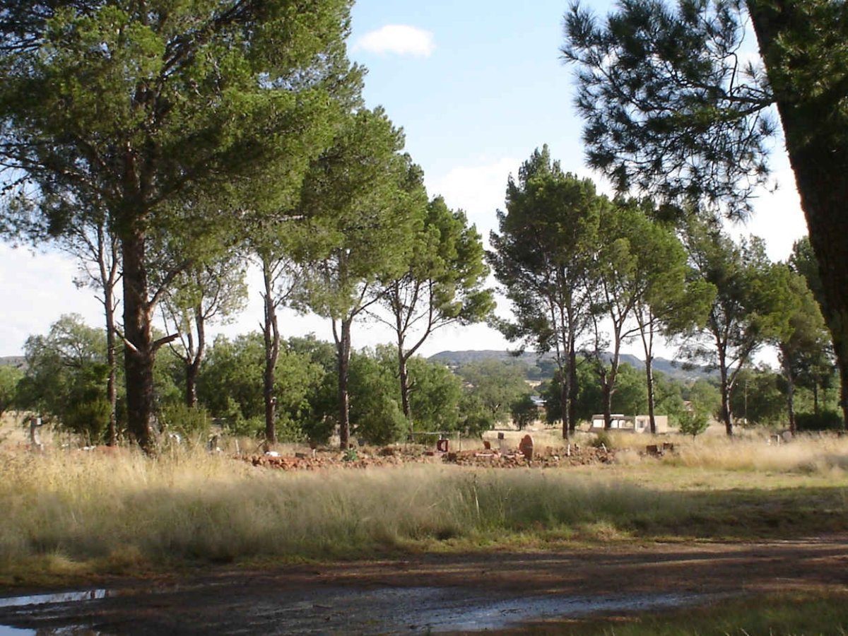 08. Overview 