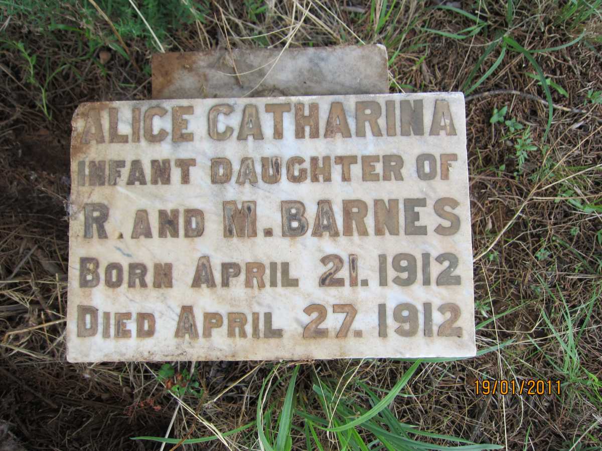 BARNES Alice Catharina 1912-1912