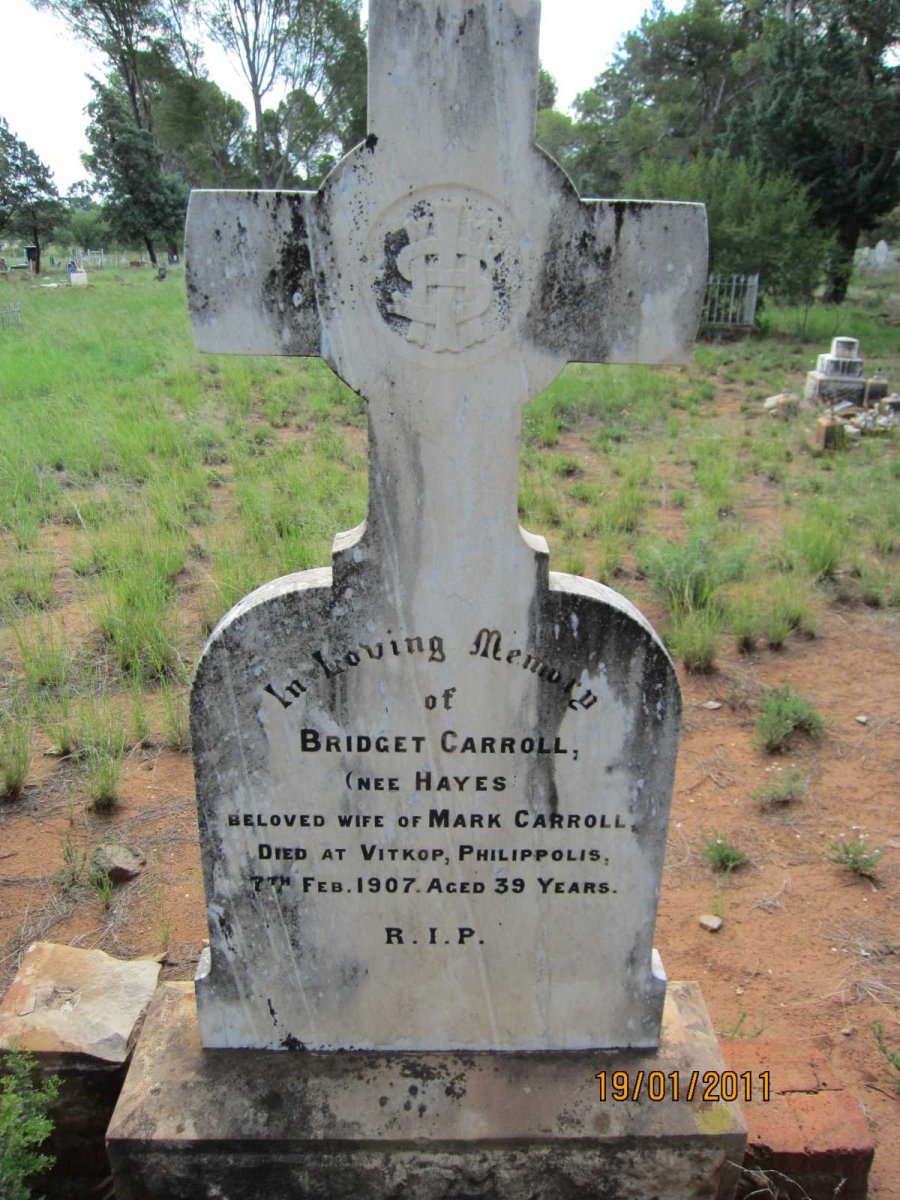 CARROLL Bridget nee HAYES -1907
