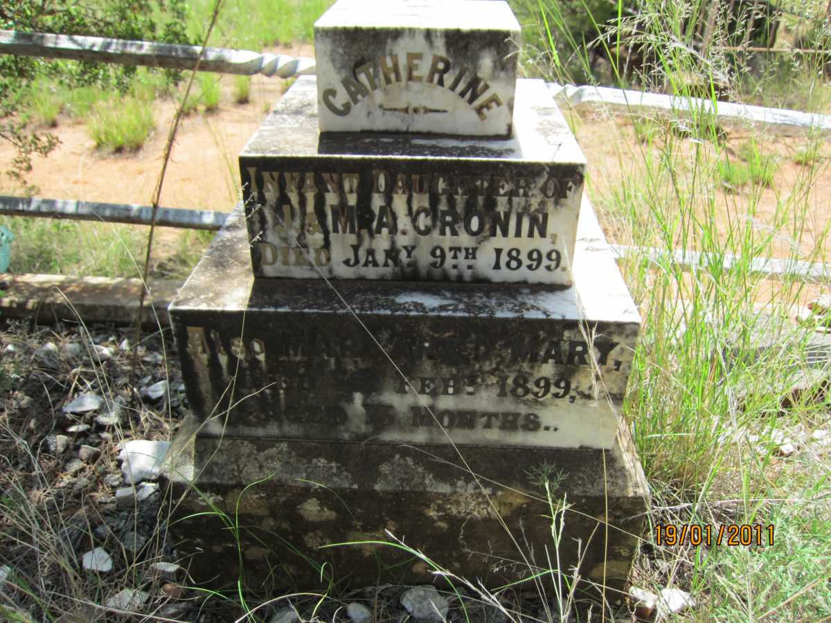 CRONIN Catherine -1899 :: CRONIN Margaret Mary -1899