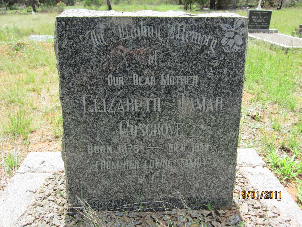 COSGROVE Elizabeth Tamar 1875-1959