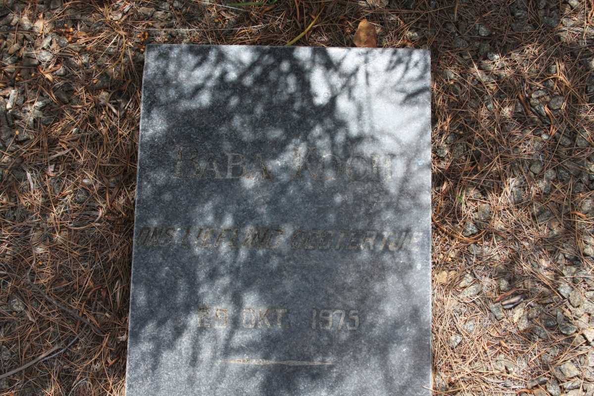 ? Koch 1975