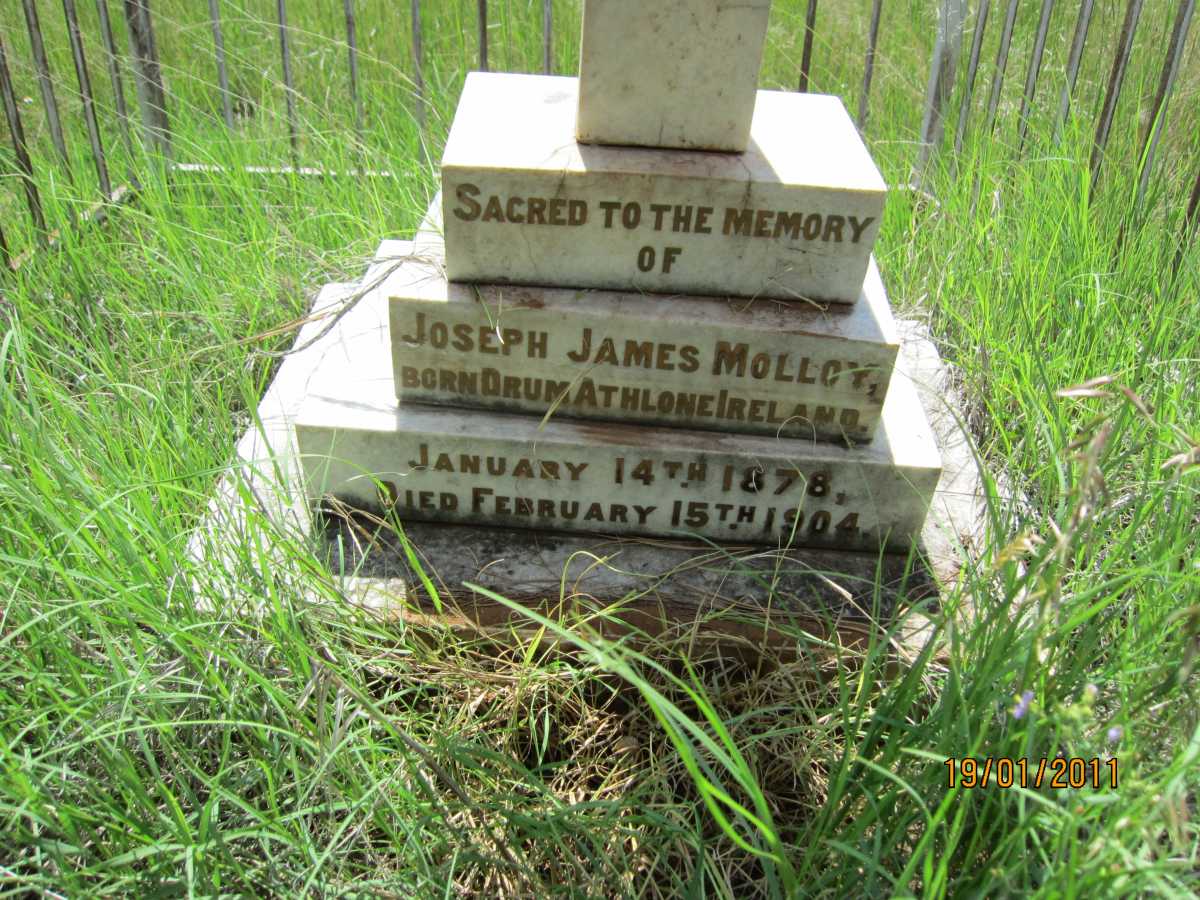MOLLOY Joseph James 1878-1904