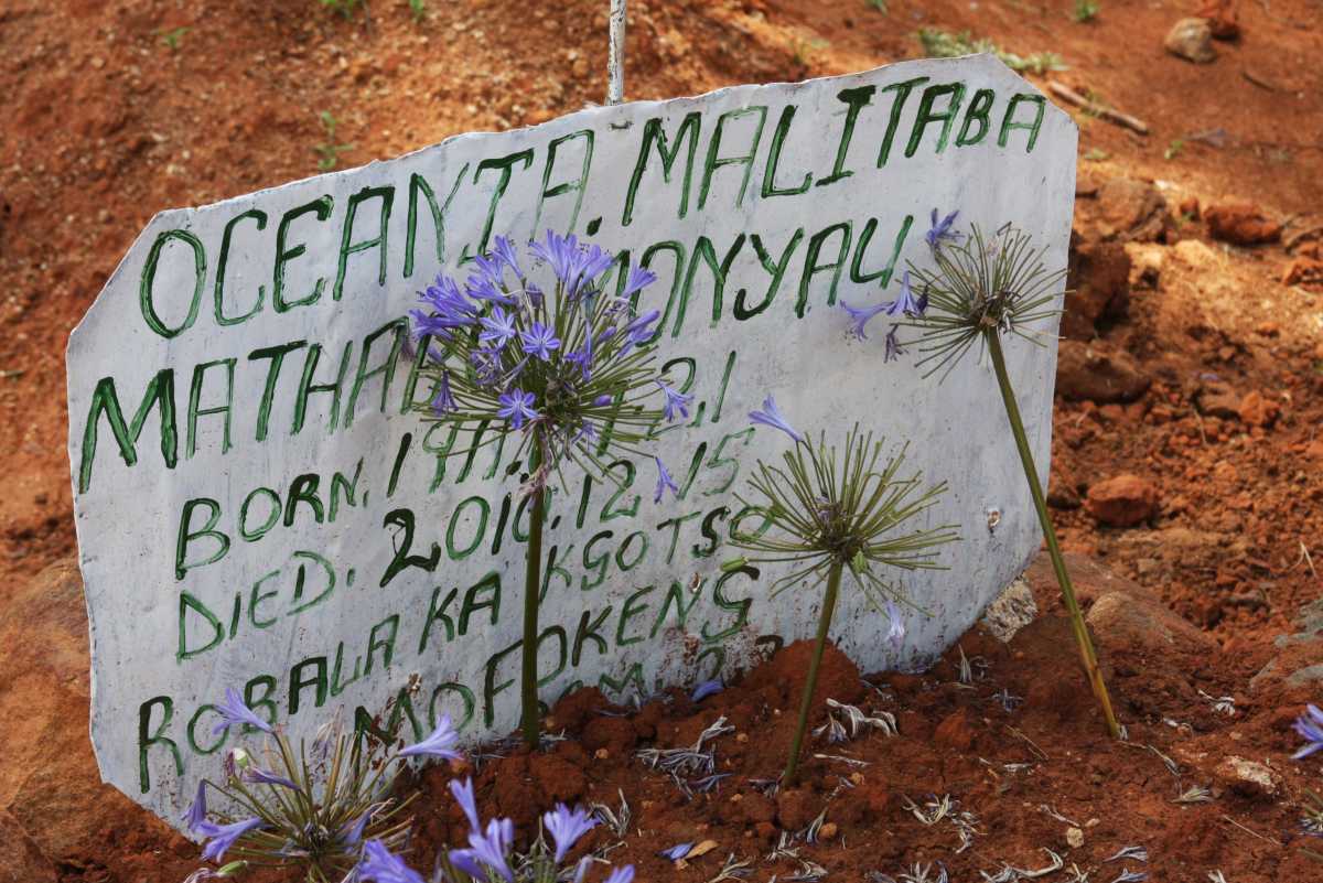 MALITABA Oceania 19??-2010