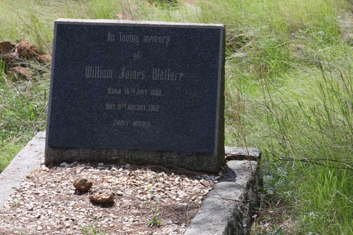 WALLACE William James 1880-1952