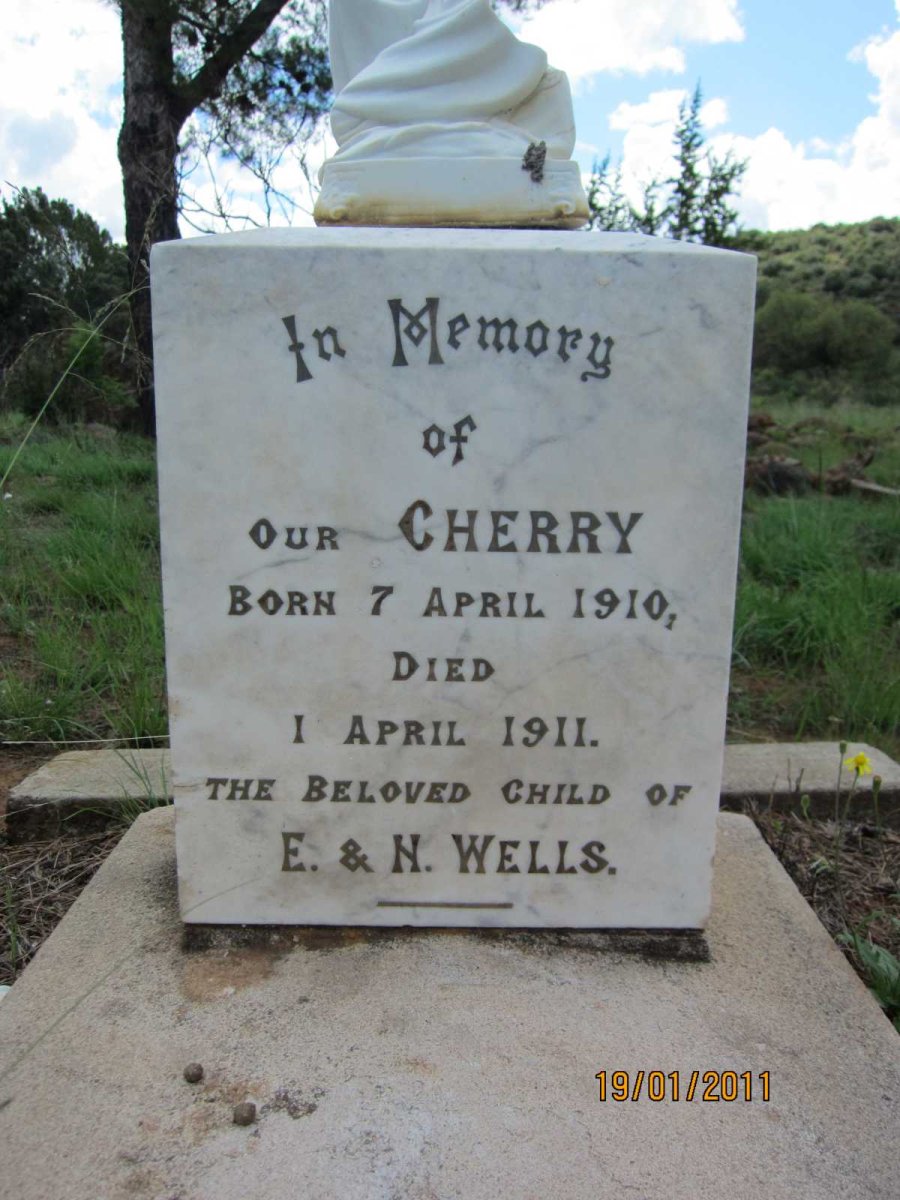 WELLS Cherry 1910-1911