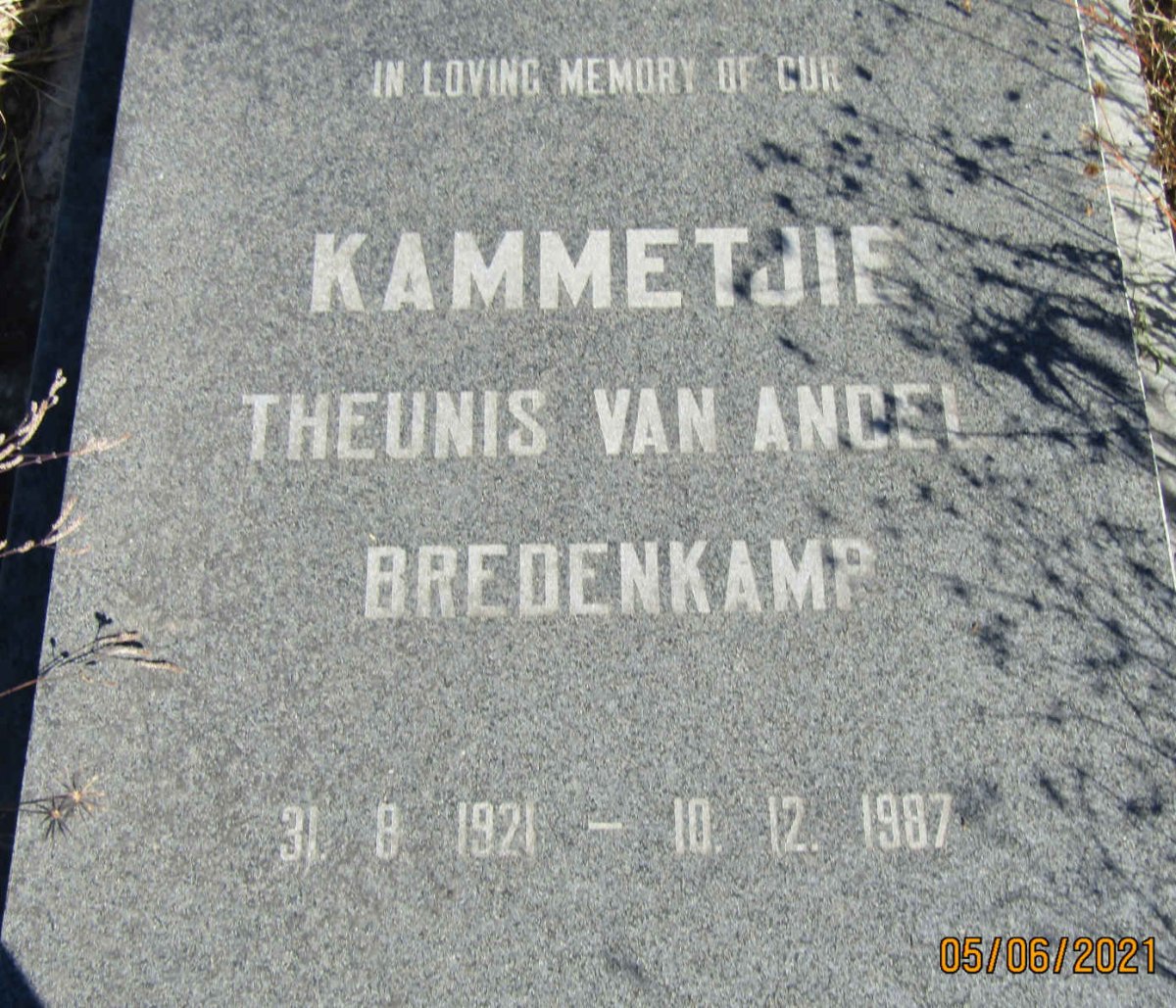 BREDENKAMP Theunis Van Andel 1921-1987