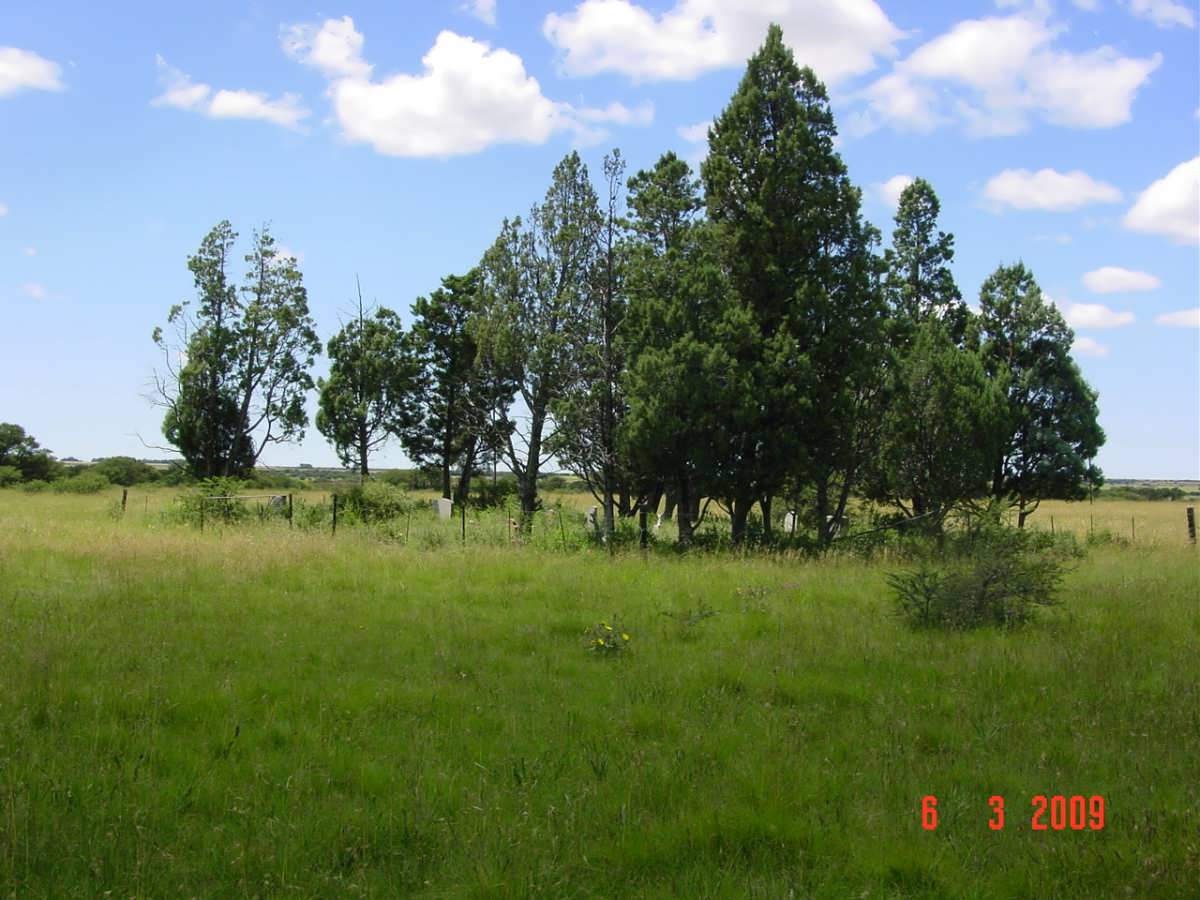 2. Overview